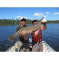 Muskie Pike